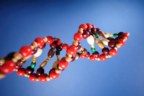 Until recently, it was widely believed that all DNA that did not code for a protein was "junk DNA". Modern genetics has not realized that these sequences -- which represent most of our genome -- have expansive functions. Science depends upon the notion that all ideas can be questioned.