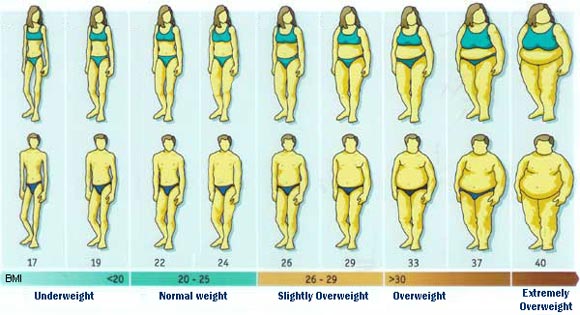 An "overweight" person  (called "slightly overweight" in this table) typically has a BMI that falls between 26-29, and an "obese" person has a BMI greater than 30.