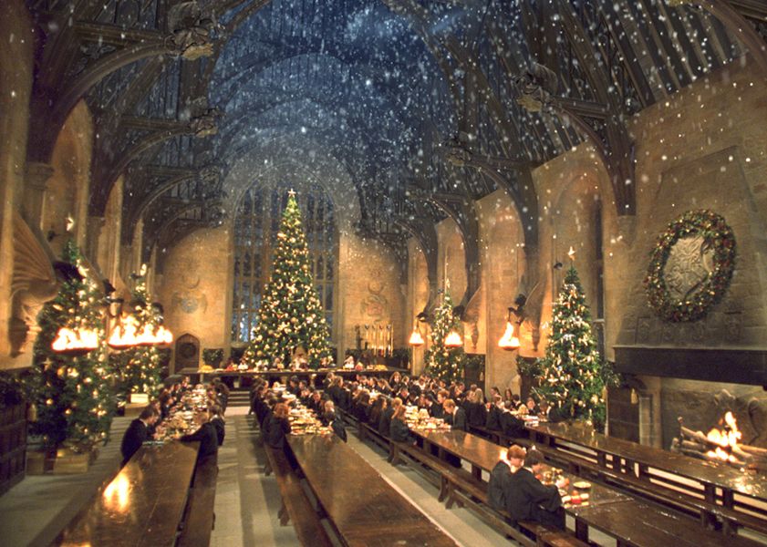Hogwarts is not a real place. You can tell because it snows on the inside.