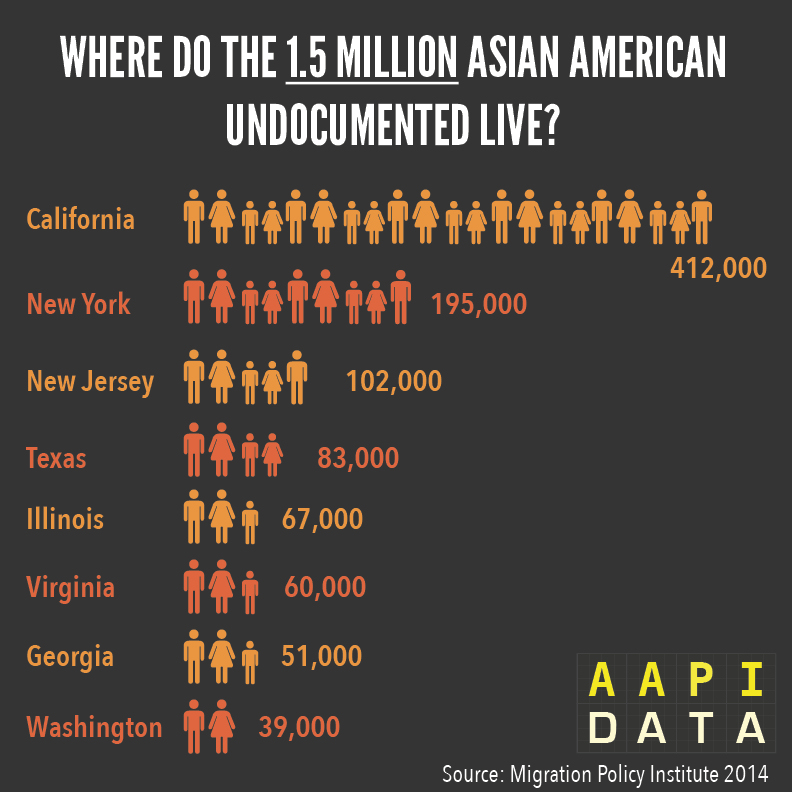 aapi-data-undocumented